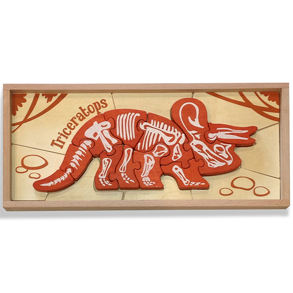 Triceratops skeleton puzzle